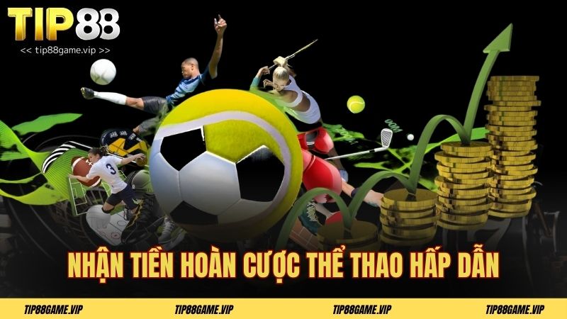 Nhận tiền hoàn cược thể thao hấp dẫn