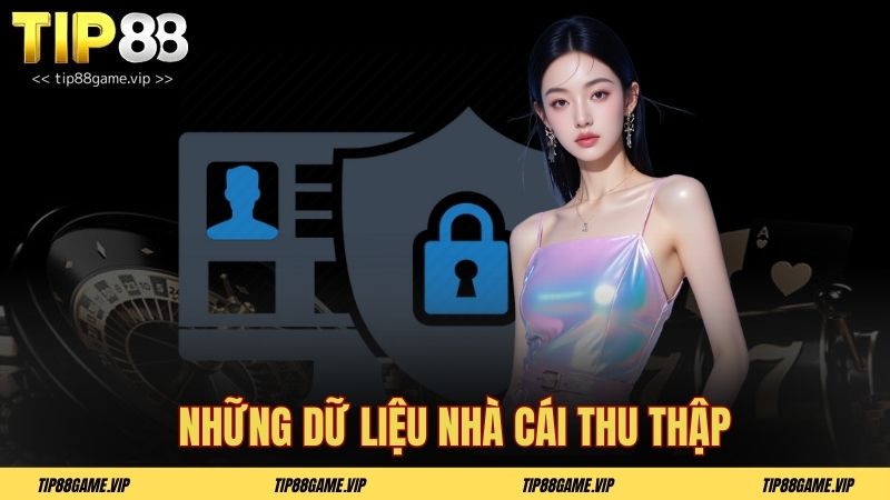 Những dữ liệu nhà cái thu thập
