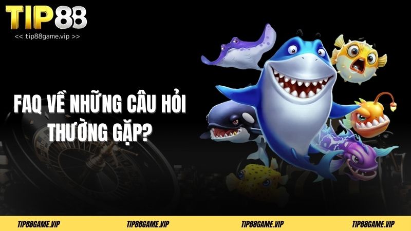 FAQ về những câu hỏi thường gặp?