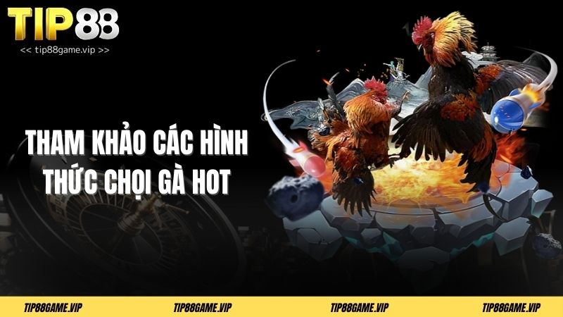 Tham khảo các hình thức chọi gà hot