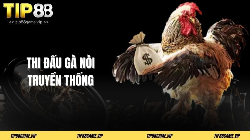 Thi đấu gà nòi truyền thống