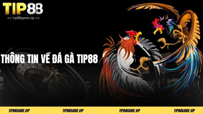 Thông tin về đá gà TIP88