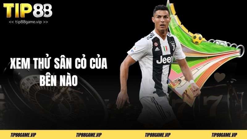 Xem thử sân cỏ của bên nào